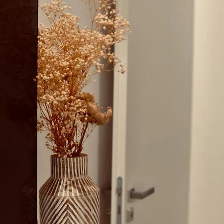 Collection - Boutique Art Affittacamere 4*