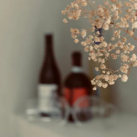 Collection - Boutique Art Affittacamere